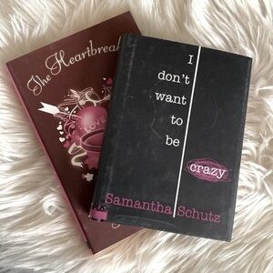 Young Adult novels book bundle